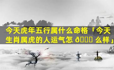 今天虎年五行属什么命格「今天生肖属虎的人运气怎 🐛 么样」